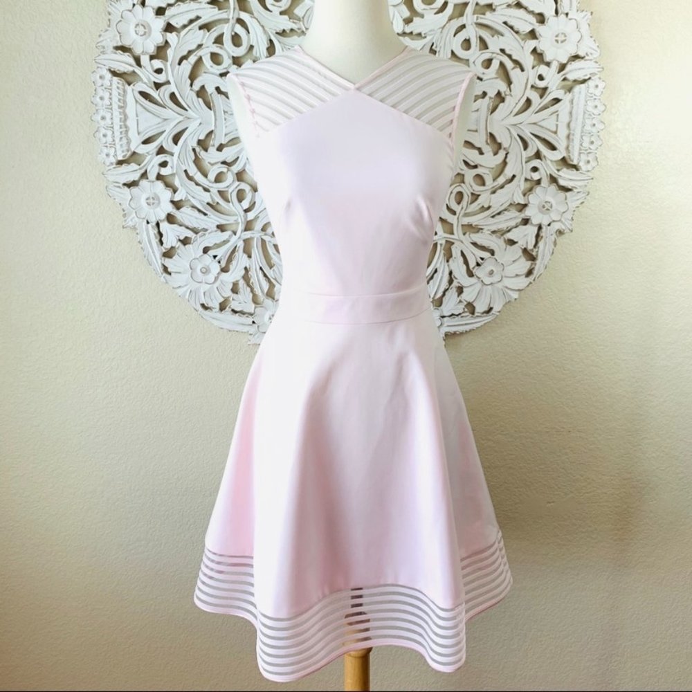 {Ted Baker} Baby Pink Mesh Eleese Skater Dress
